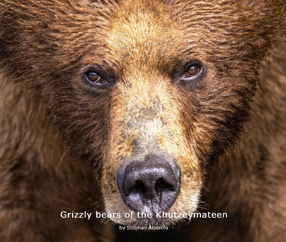 Grizzly bears of the Khutzeymateen nach Stephan Alberola anzeigen