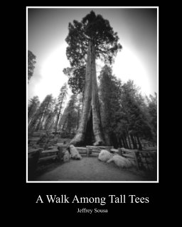 A Walk Among Tall Trees book cover