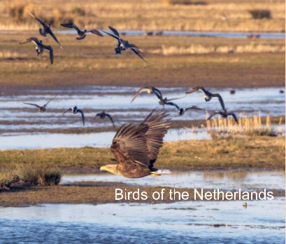 Birds of the Netherlands book cover