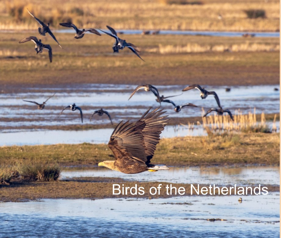 View Birds of the Netherlands by Peter van der Horst