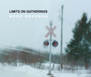 Limits on Gatherings II book cover