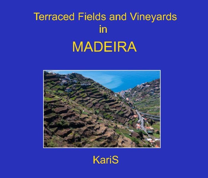 View Terraced Fields and Vineyards in Madeira by KariS