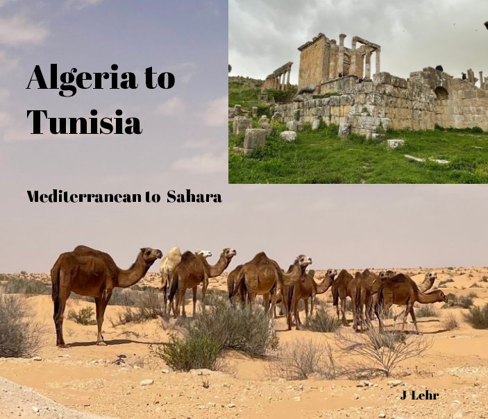 View Algeria-Tunisia by Jane Lehr