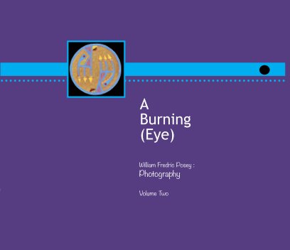 A Burning Eye ( Volume Two ) book cover