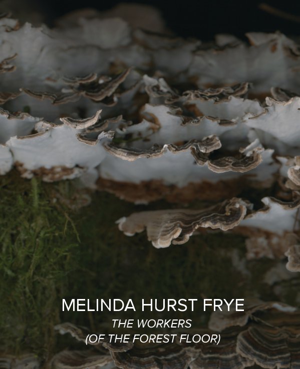 View Melinda Hurst Frye The Workers of the Forest Floor by J. Rinehart Gallery