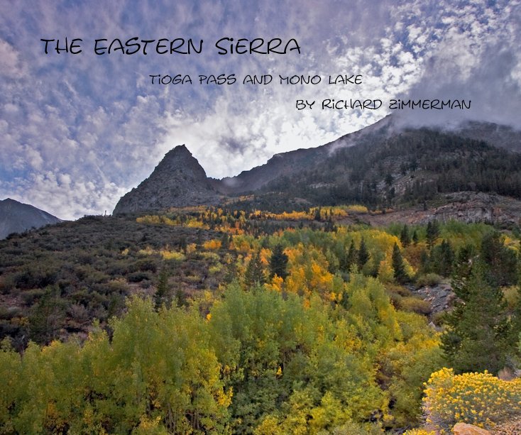 View The Eastern Sierra by Richard Zimmerman