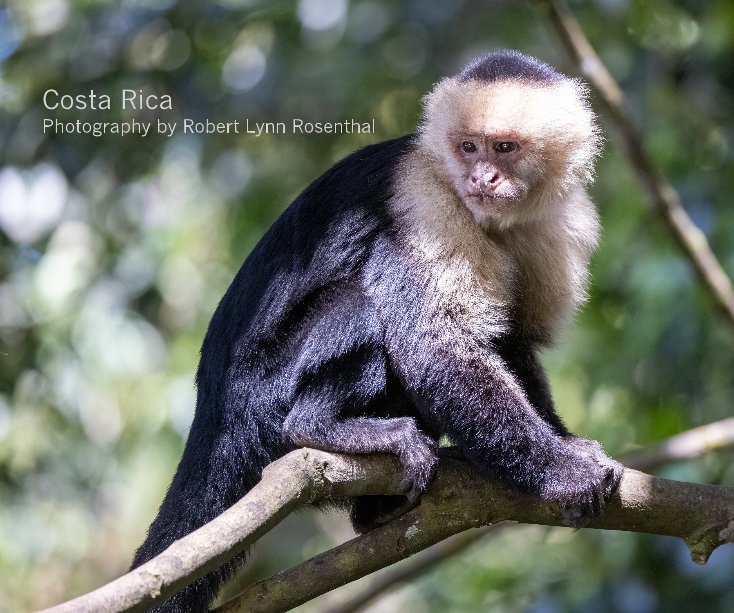 View Costa Rica by Robert Lynn Rosenthal