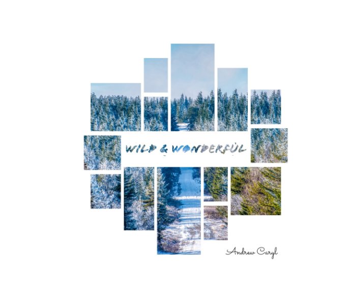 Visualizza Wild and Wonderful Mosaics di Andrew Caryl