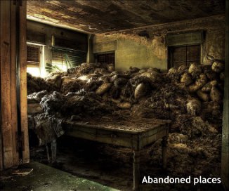 Abandoned places book cover