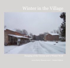Winter in the Village book cover
