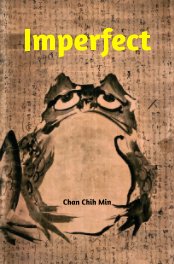 Imperfect book cover