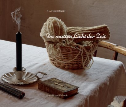 Im matten Licht der Zeit book cover