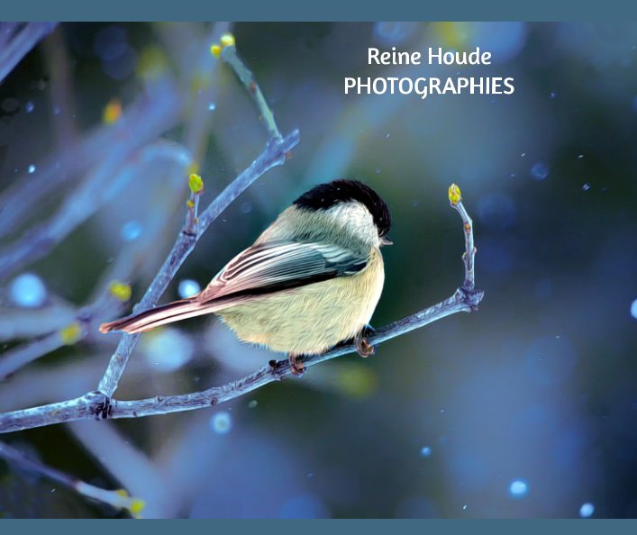 View Photographies by Reine Houde