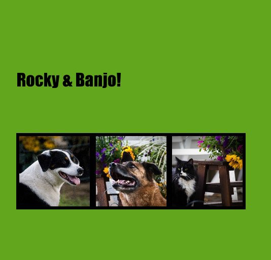View Rocky & Banjo! by hbuffman