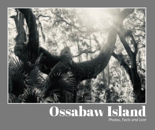 Ossabaw Island book cover