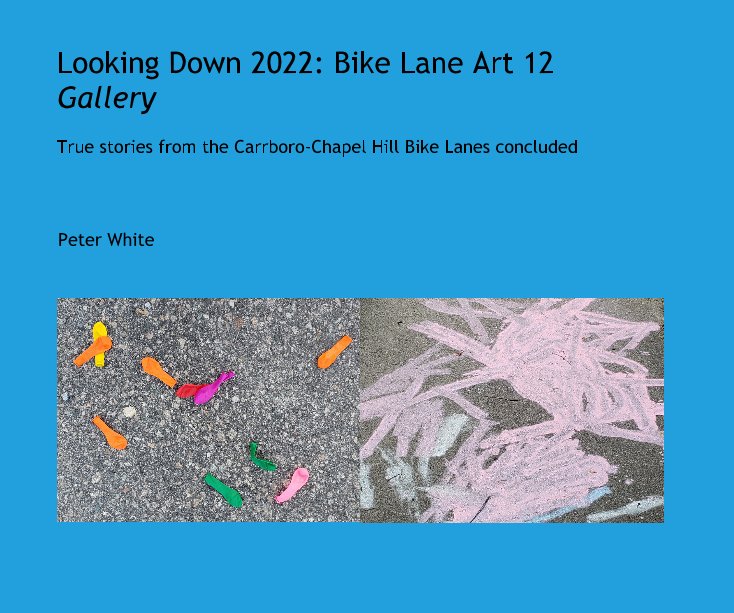 View Looking Down 2022: Bike Lane Art 12 Gallery by Peter White