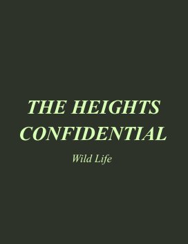 The Heights Confidential book cover
