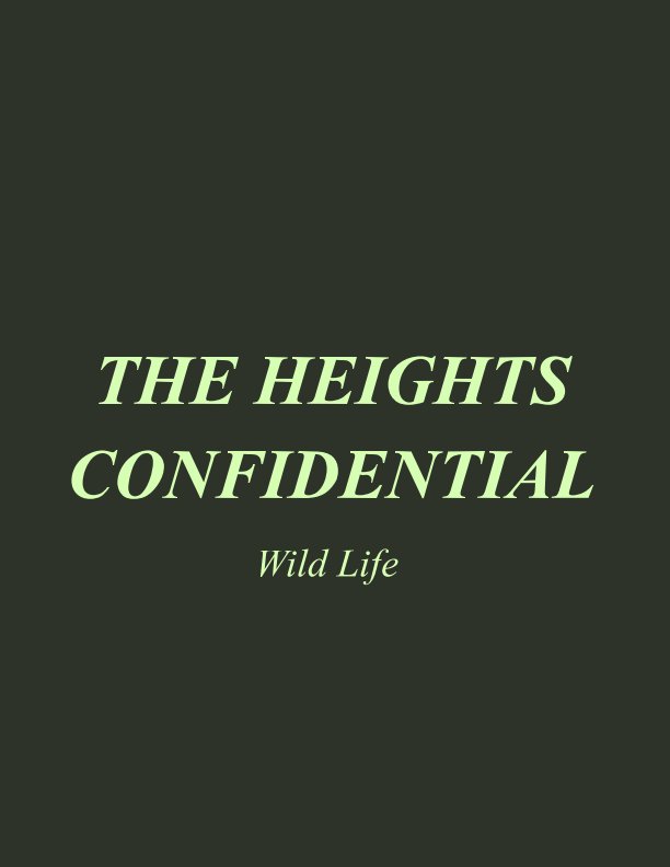 View The Heights Confidential by N J Noecker Jr
