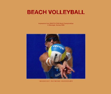 BEACH VOLLEYBALL book cover