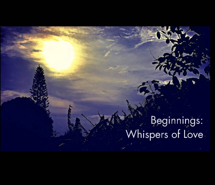 View Beginnings: Whispers of Love by Richard J Petronio