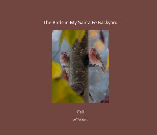 The Birds in My Santa Fe Backyard Fall Hardback book cover