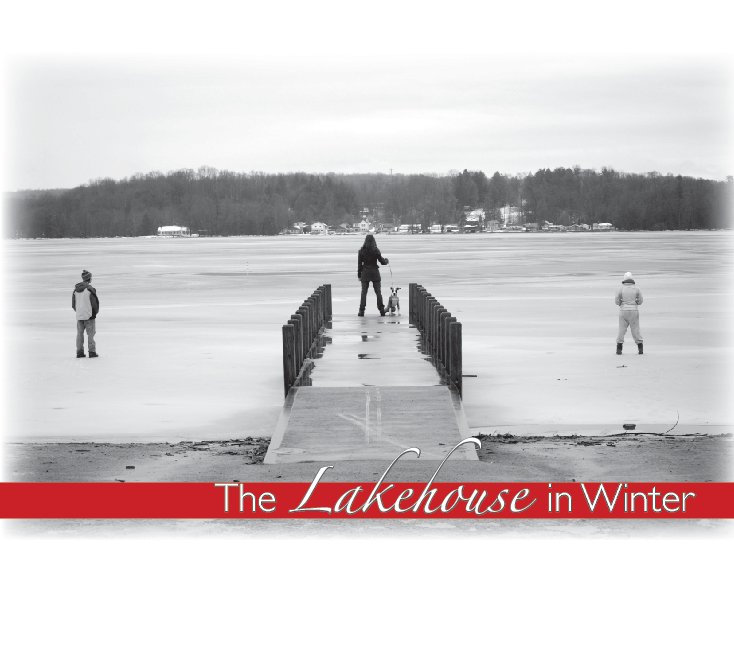 View The Lakehouse in Winter by rachel myers