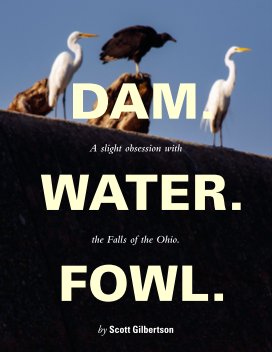 Dam Water Fowl book cover
