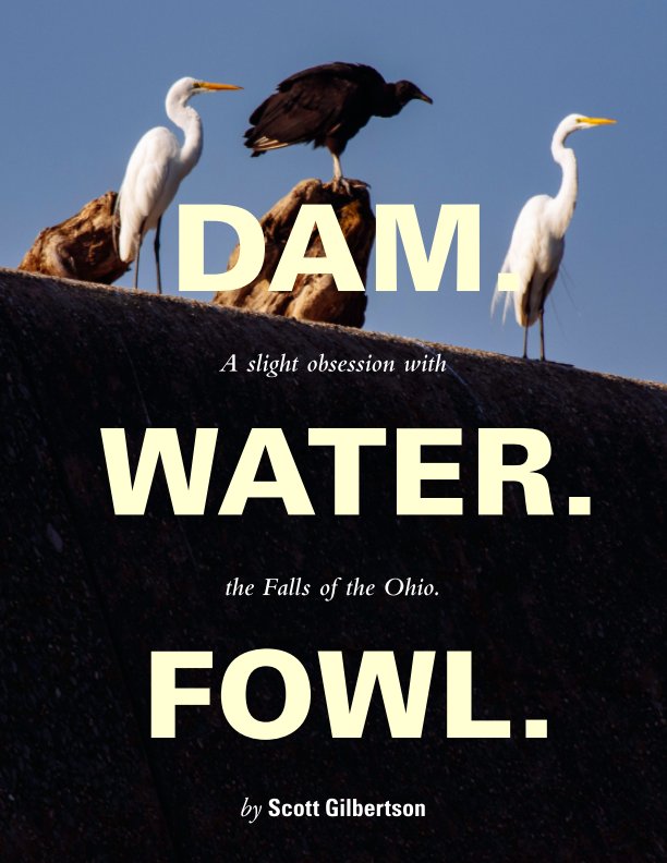 View Dam Water Fowl by Scott Gilbertson