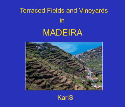 Terraced Fields and Vineyards in Madeira book cover