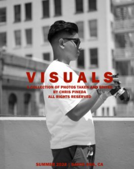 Visuals book cover