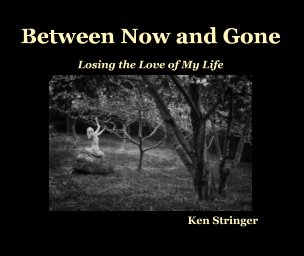 Between Now and Gone book cover