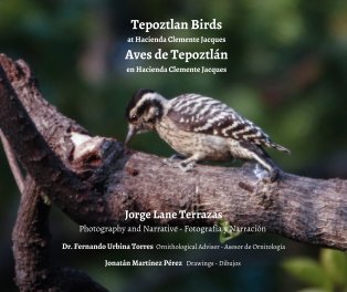 Birds of Tepoztlan book cover