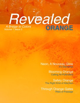 Revealed Colors Vol.1 No. 5 ORANGE book cover