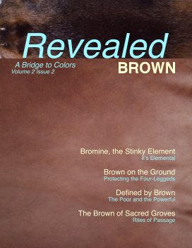 Revealed Colors Vol.2 No. 2 BROWN book cover
