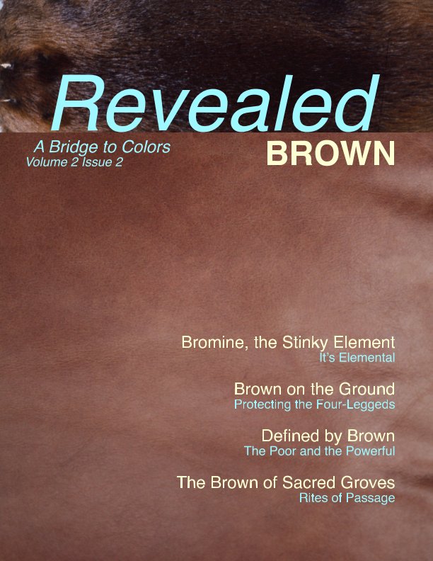 Revealed Colors Vol.2 No. 2 BROWN nach Patricia Lee Harrigan anzeigen