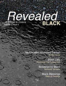 Revealed Colors Vol.2 No. 4 BLACK book cover