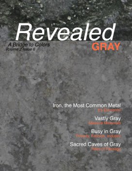 Revealed Colors Vol.2 No. 6 GRAY book cover