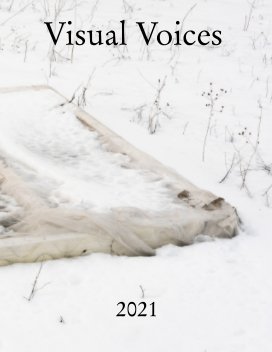 Visual Voices 2021 book cover