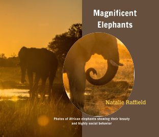Magnificent Elephants book cover