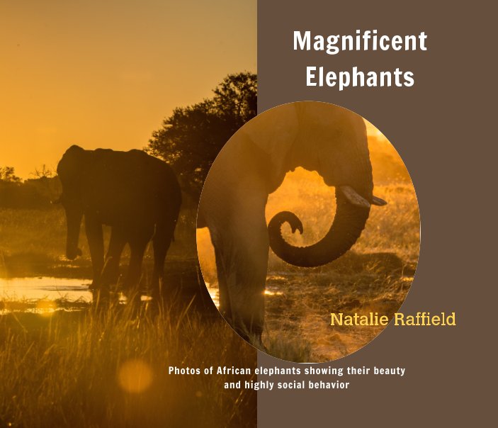 Bekijk Magnificent Elephants op Natalie Raffield