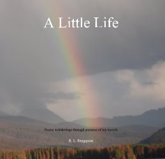 A Little Life book cover