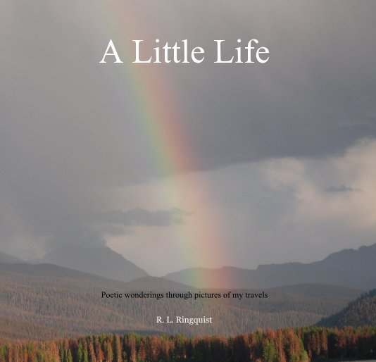 Ver A Little Life por R. L. Ringquist
