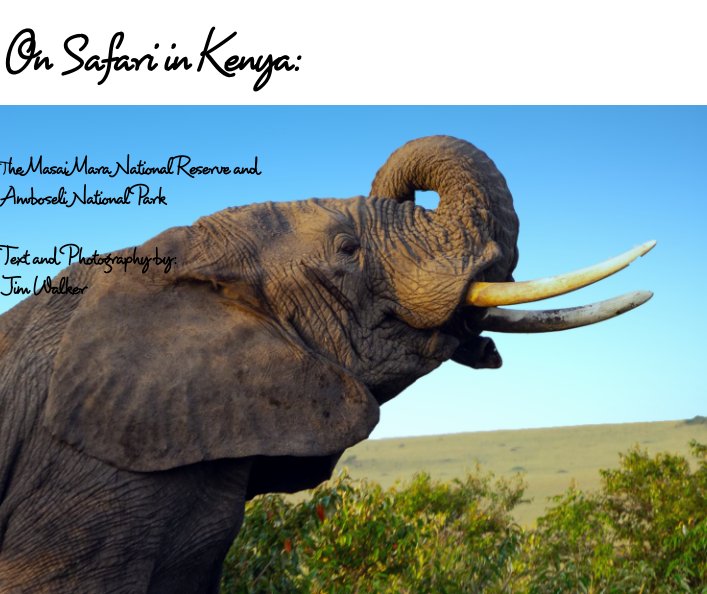 On Safari in Kenya nach Jim Walker anzeigen