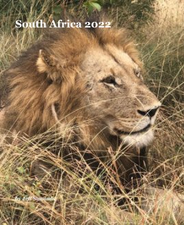 South Africa 2022 book cover