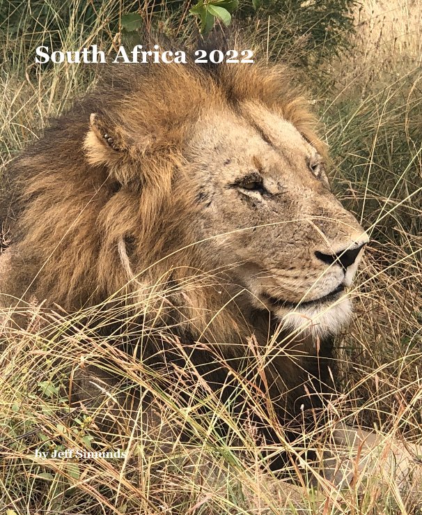 View South Africa 2022 by Jeff Simunds