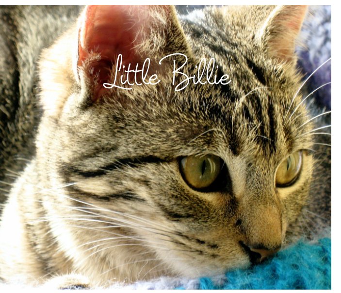 View Little Billie by Julia White