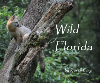 Wild Florida book cover
