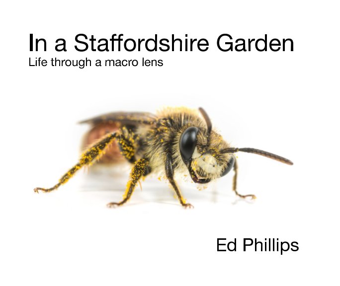 View In a Staffordshire Garden by Ed Phillips