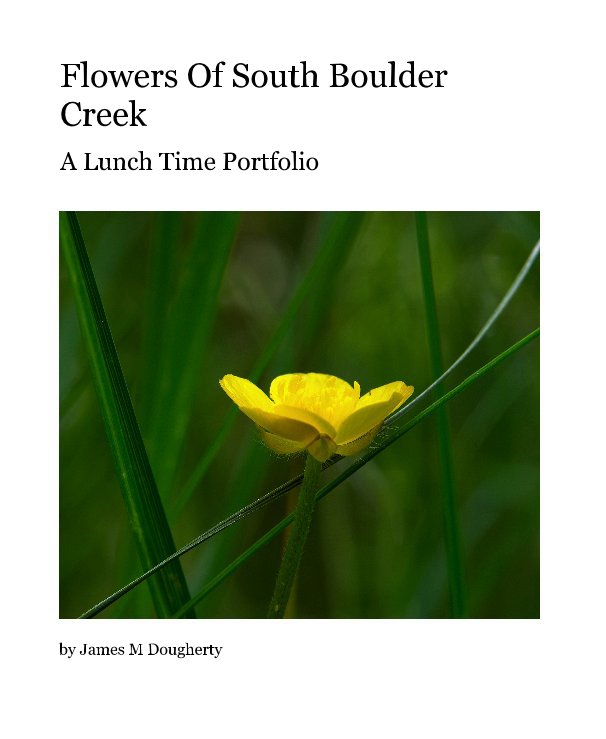 Ver Flowers Of South Boulder Creek por James M Dougherty