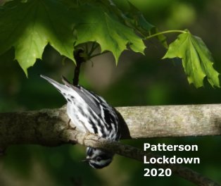 Patterson Lockdown 2020 book cover